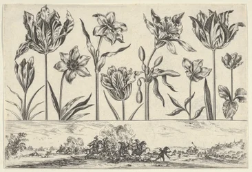 Panneau horizontal avec une rangée de fleurs au-dessus d