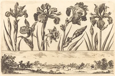 Impression de fleurs n°3