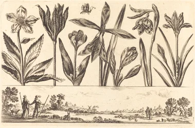 Impression de fleurs n°4