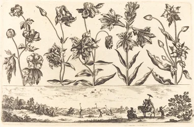 Impression de Fleurs n°6