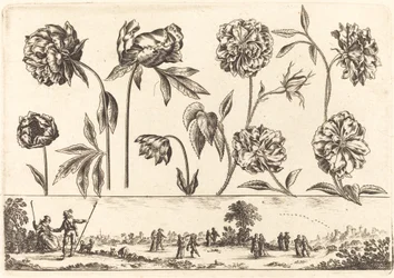 Impression de fleurs n°7
