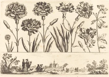 Impression de fleurs n°9