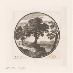 Vue sur des arbres le long de l