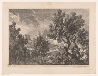 Paysage rocheux avec arbres au bord de l