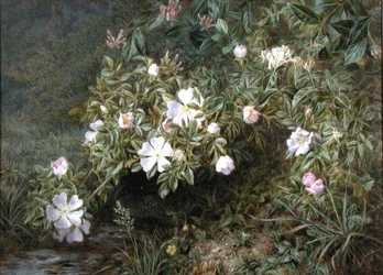 Étude de roses sauvages, vers 1900