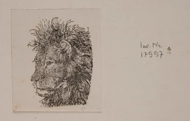 Une tête de lion