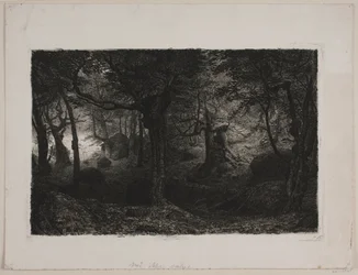 La Forêt enchantée