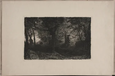 La Forêt des Trolls