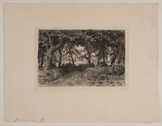 Chariot sur un chemin forestier