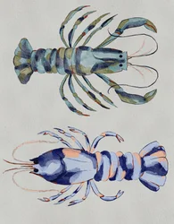 Aquarelle « Homards bleus »