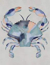 Peinture représentant un crabe bleu côtier