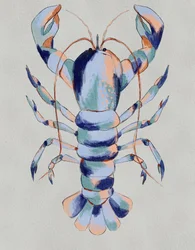 Homard bleu coloré