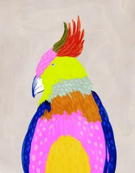 Perroquet tropical aux couleurs vives