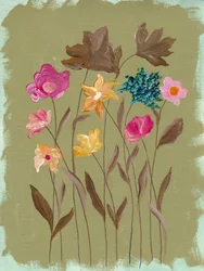 Jardin de fleurs sauvages colorées