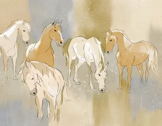 Un troupeau de chevaux gracieux