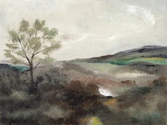 Arbre dans la campagne brumeuse