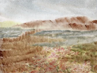 Bruyère des montagnes brumeuses