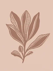 Dessin botanique naturel