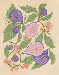 Figues violettes et fleurs