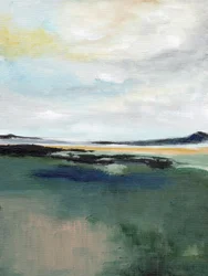 Paysage serein de marais