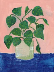 Plante d