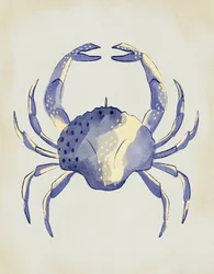 Crabe bleu à l