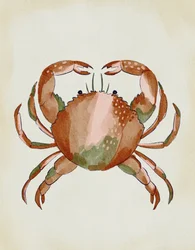 Crabe à l