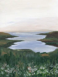 Vue sur la côte des fleurs sauvages