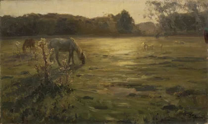 Chevaux dans le pré