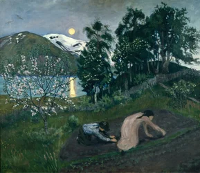 Nuit de printemps dans le jardin