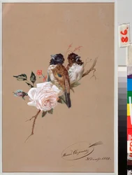 Deux oiseaux sur une rose