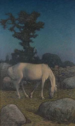 Cheval blanc au crépuscule