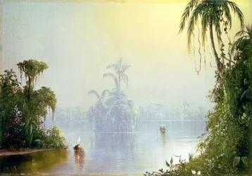 Brume tropicale, 1879