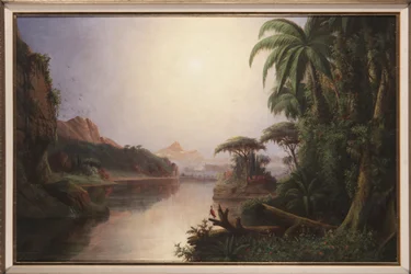 Paysage tropical
