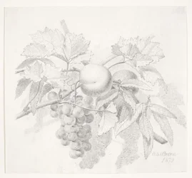 Raisins et pêches