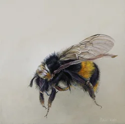 Bombus terrestris 1 (a), 2008 (acrylique sur bois)