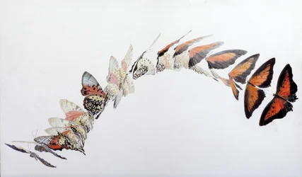 Modèle de vol de Charaxes zingha, 2016 (acrylique sur bois gessoïsé)