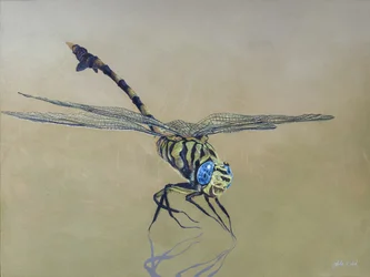 Dragon fly, 2009 (acrylique sur bois)