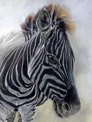 Equus burchelli 1 (détail), 2009 (fusain, conte et pastel à la craie sur papier Bockingford)