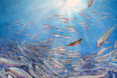 Fusiliers (détail), 2017 (acrylique sur lin dans un cadre tulipe).