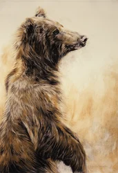 Grizzly Bear 2, 2002 (crayon de carbone, fusain et craie)