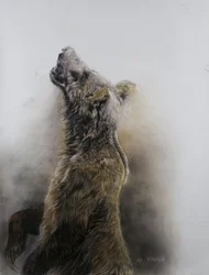 Grizzly bear 3, 2009 (fusain, conte et pastel à la craie sur papier Fabriano)