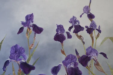 Iris hybrida (détail), 2015 (acrylique sur bois gesso)