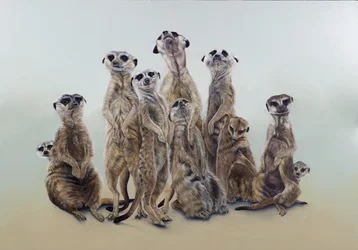 Meerkat mob, sun angels, 2013 (acrylique sur bois gessoïsé)