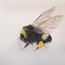 Pollen sac 2, 2011 (acrylique sur bois)