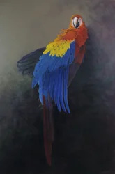 Ara écarlate 3, 2014 (acrylique sur lin)