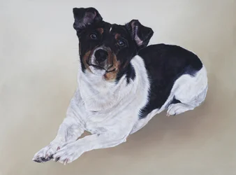 Spike, 2012 (acrylique sur bois)