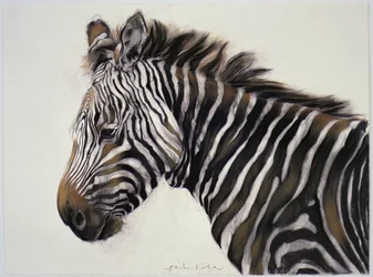Zèbre, 2002 (fusain et craie)