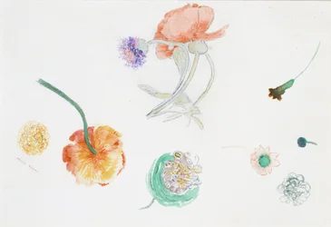 Croquis de fleurs