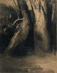 Deux arbres